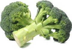 Vasekrabicky - brokolice